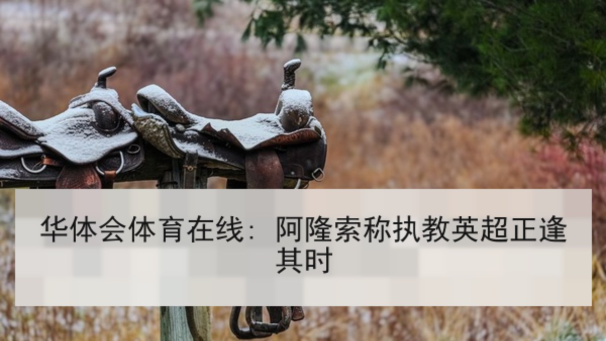 华体会体育在线: 阿隆索称执教英超正逢其时