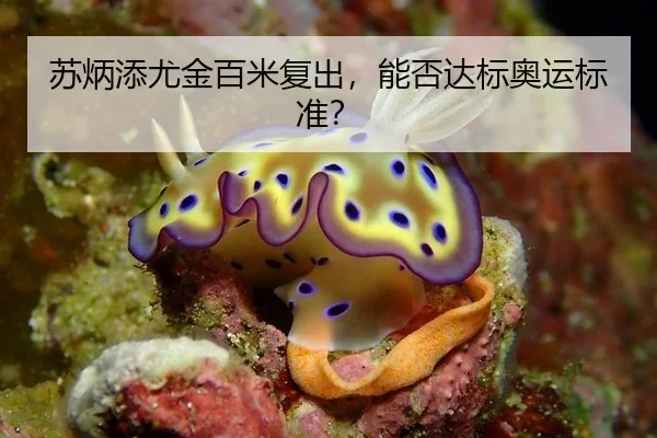 苏炳添尤金百米复出，能否达标奥运标准？