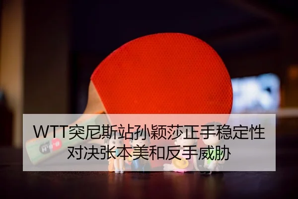 tu-ni-si-zhan-sun-ying-sha-zheng-shou-wen-ding-xing-dui-jue-zhang-ben-mei-he-fan-shou-wei-xie-2-725.jpg