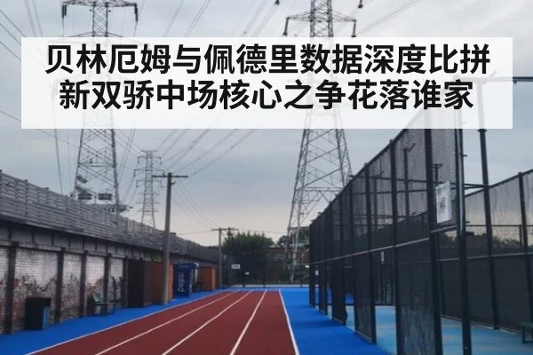贝林厄姆与佩德里数据深度比拼新双骄中场核心之争花落谁家